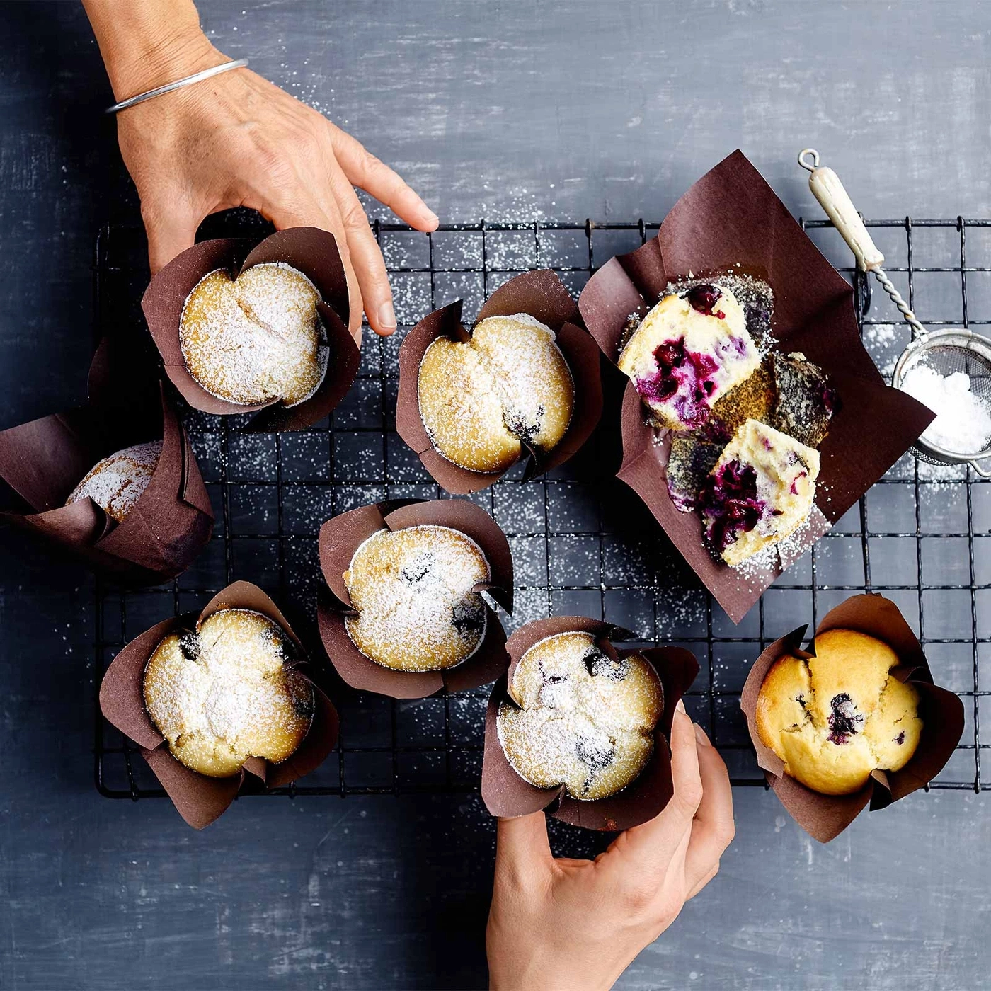 Blaubeermuffins auf einem Rost, mit Puderzucker bestäubt, von Händen gehalten.