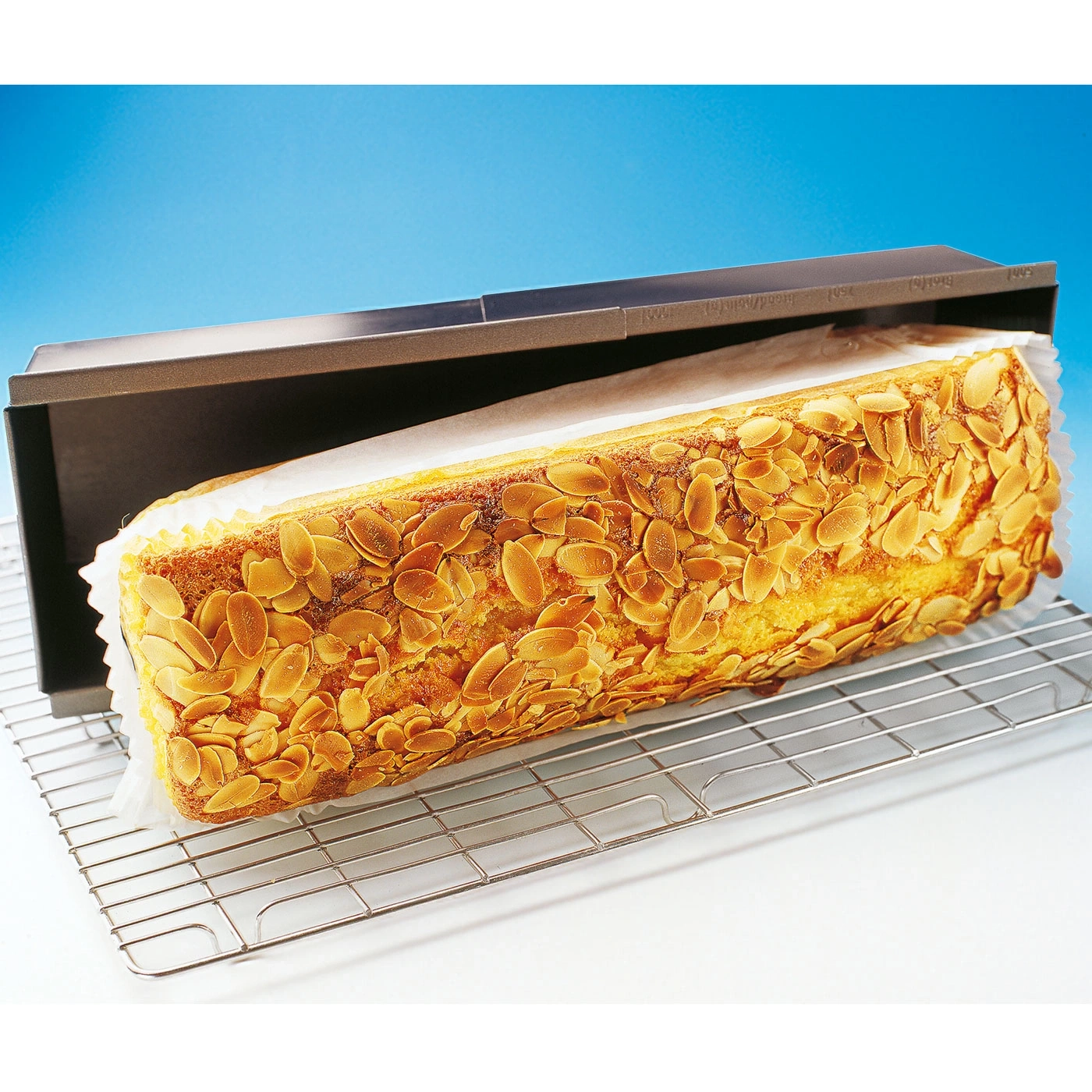 Gâteau aux amandes dans un moule sur une grille, gros plan