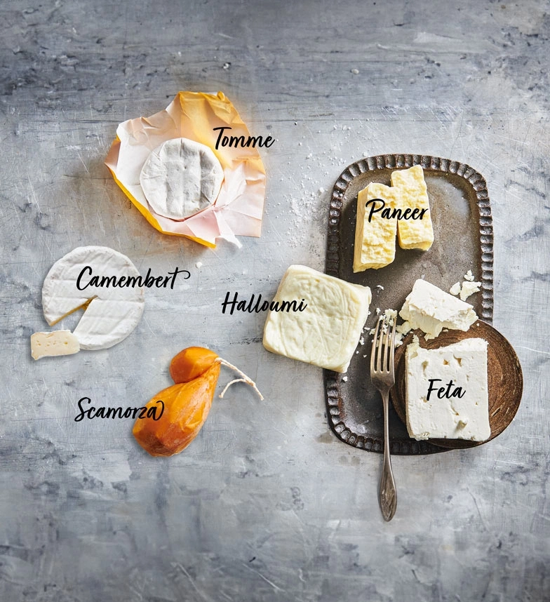 Käse-Arrangement: Camembert, Tomme, Halloumi, Paneer, Feta, Scamorza auf grauem Hintergrund.