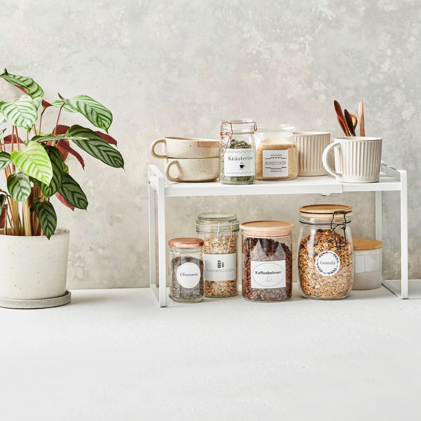 Pflanze, Gläser, Tassen, Regal, Küche, Kräutertee, Kaffee, Granola, Haferflocken, Rohrzucker