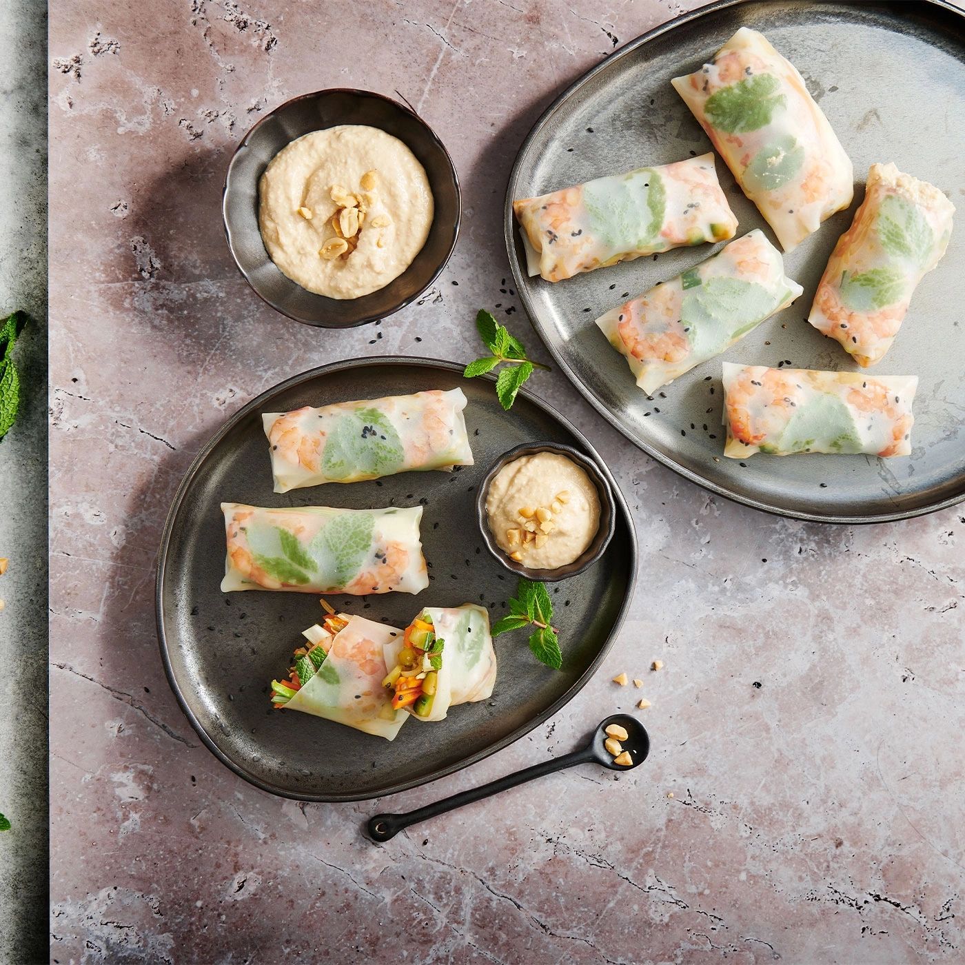 Frühlingsrollen mit Hummus und Erdnüssen auf Tellern, Nahaufnahme