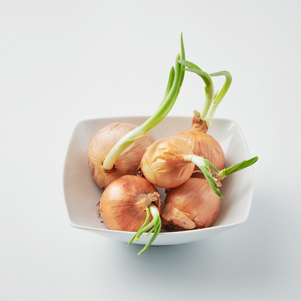 Zwiebeltopf, Keramik mit Bambusdeckel Für Zwiebeln und Knoblauch