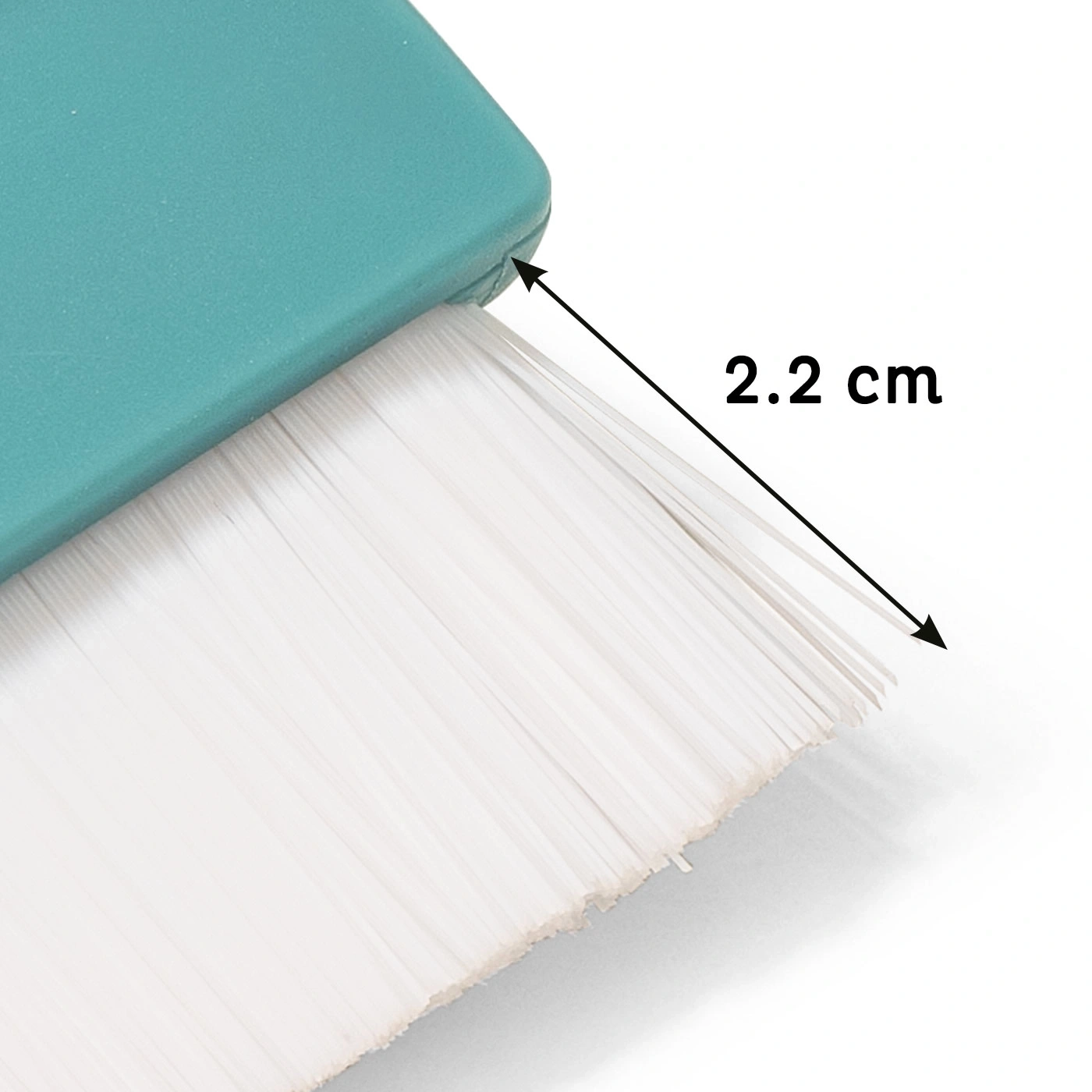 Brosse de 2,2 cm, gros plan, détail, poils blancs, mesure, outil