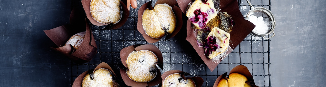 Blaubeermuffins auf einem Gitter, mit Puderzucker bestäubt, Nahaufnahme