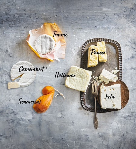 Käse-Arrangement: Camembert, Tomme, Halloumi, Paneer, Feta, Scamorza auf grauem Hintergrund.